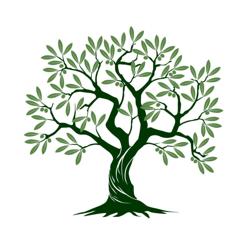 Olive Tree logo